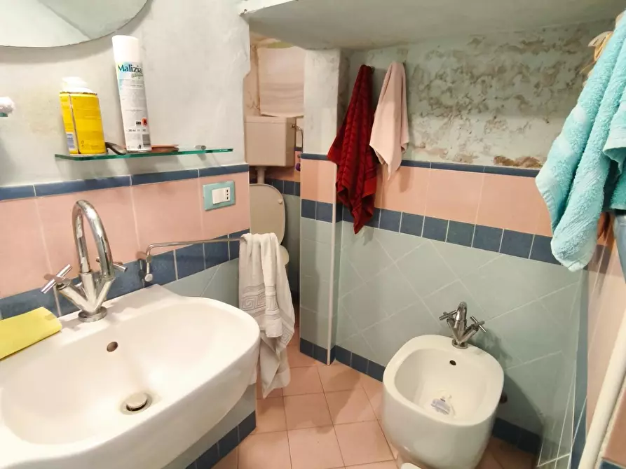 Immagine 26 di Appartamento in vendita  a Palaia