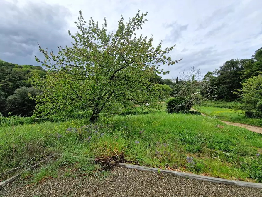 Immagine 8 di Appartamento in vendita  a Casciana Terme Lari