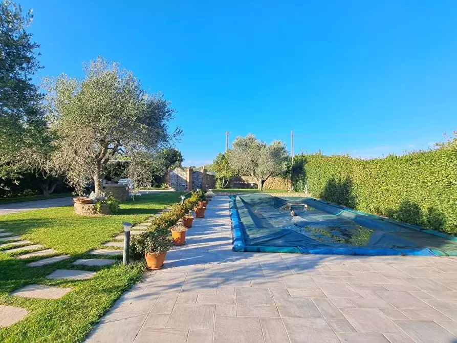 Immagine 5 di Villa in vendita  a Cecina