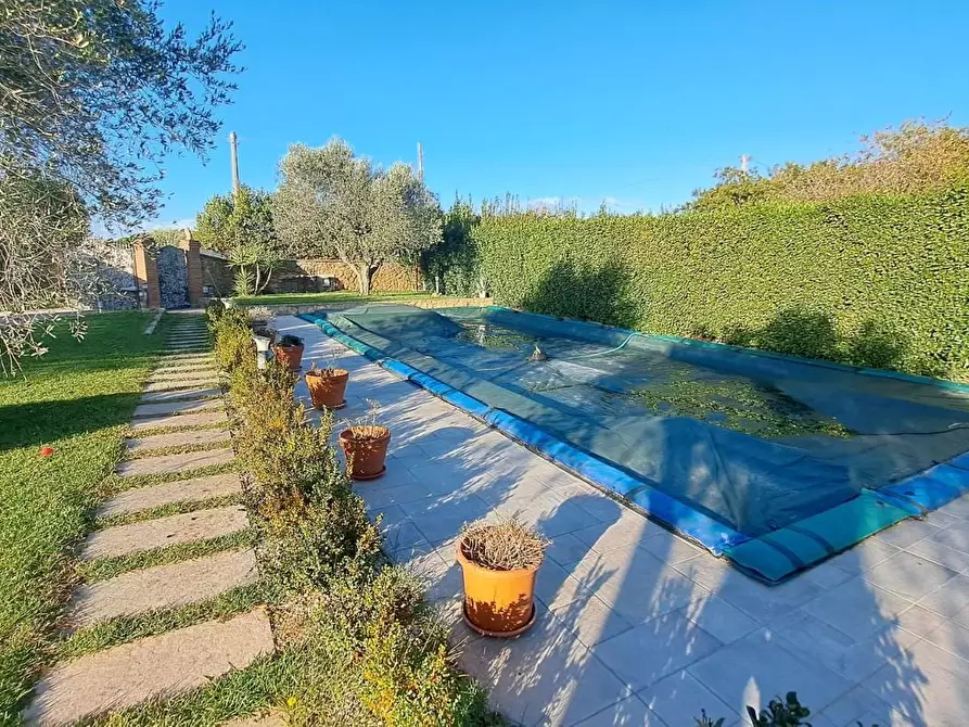 Immagine 3 di Villa in vendita  a Cecina