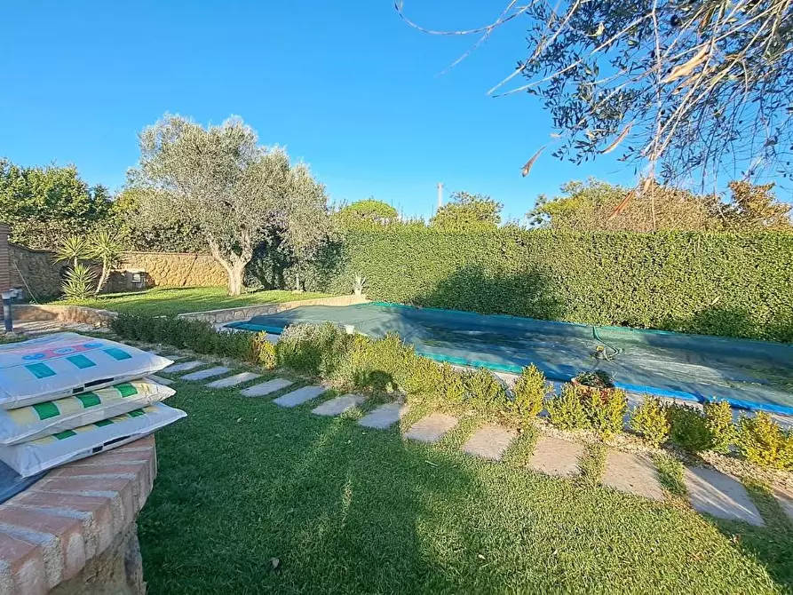 Immagine 4 di Villa in vendita  a Cecina