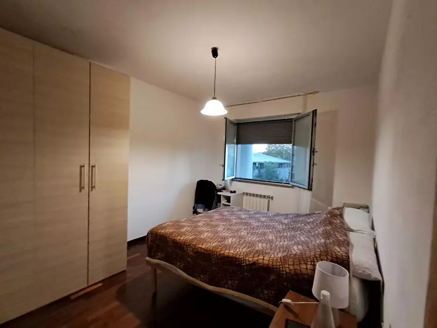 Immagine 17 di Appartamento in vendita  a Pontedera