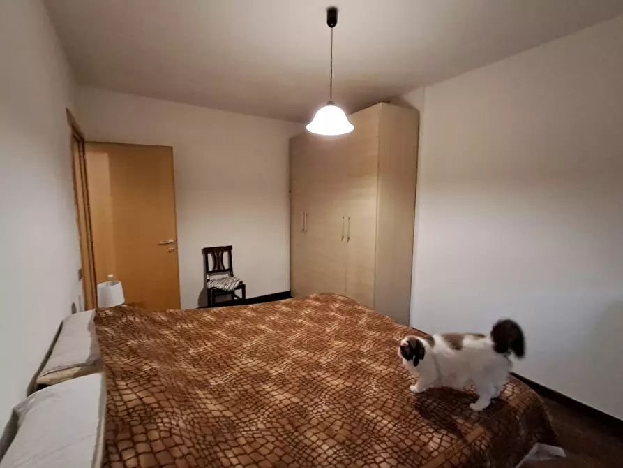 Immagine 18 di Appartamento in vendita  a Pontedera