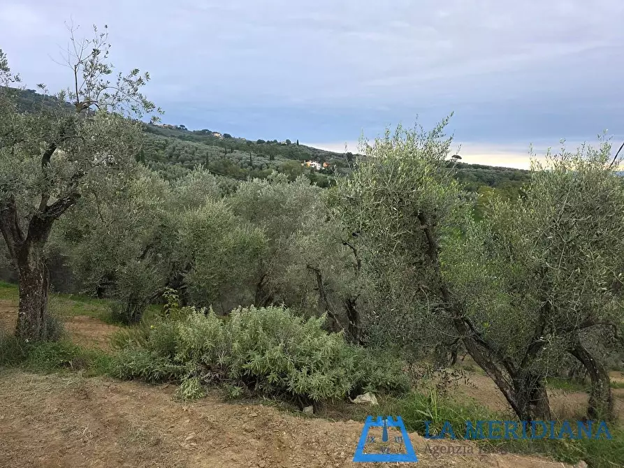 Immagine 9 di Terratetto in vendita  a Lamporecchio