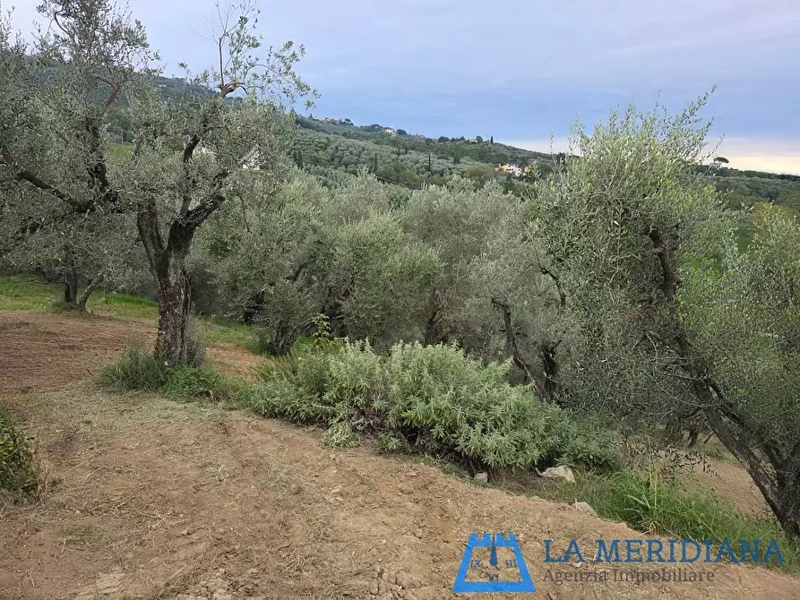 Immagine 10 di Terratetto in vendita  a Lamporecchio