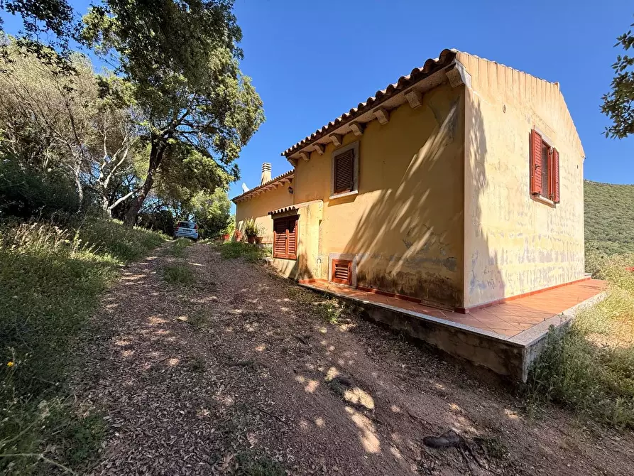 Immagine 16 di Casa colonica in vendita  a Luogosanto