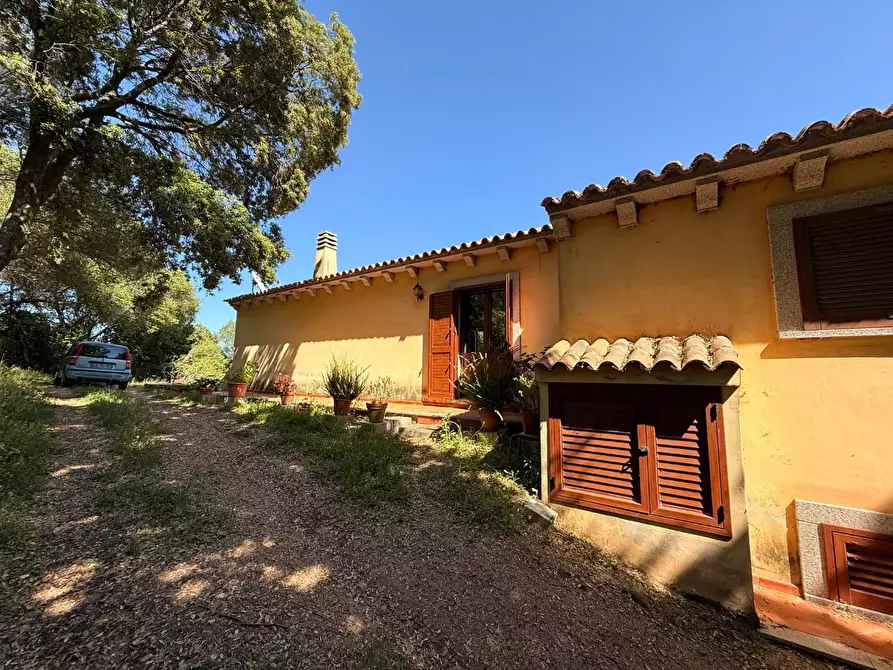 Immagine 17 di Casa colonica in vendita  a Luogosanto