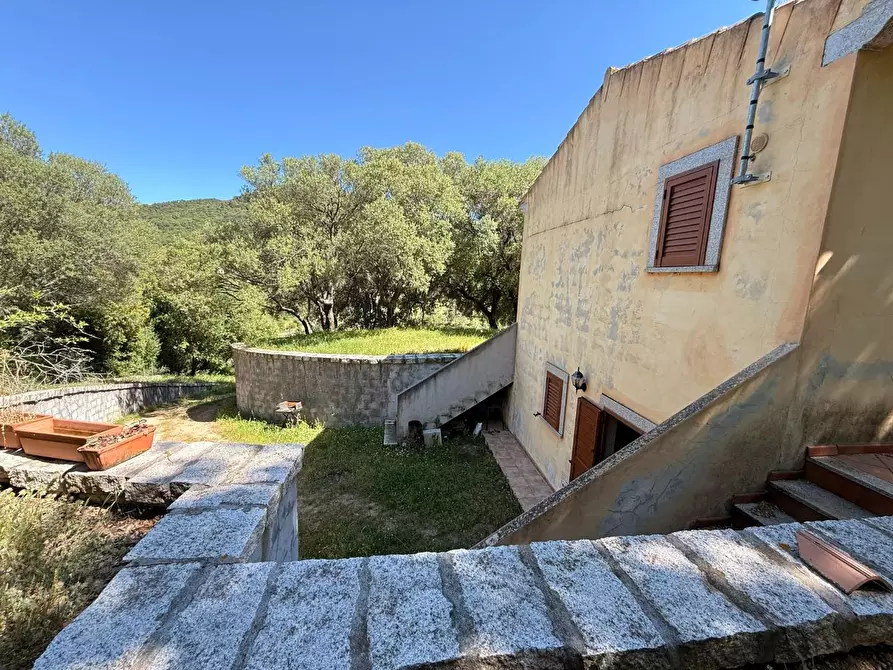 Immagine 15 di Casa colonica in vendita  a Luogosanto