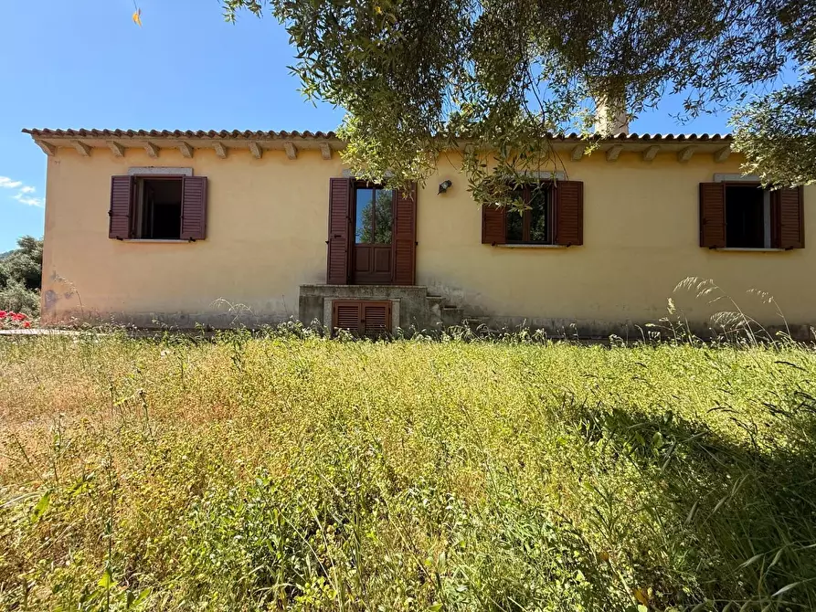 Immagine 14 di Casa colonica in vendita  a Luogosanto