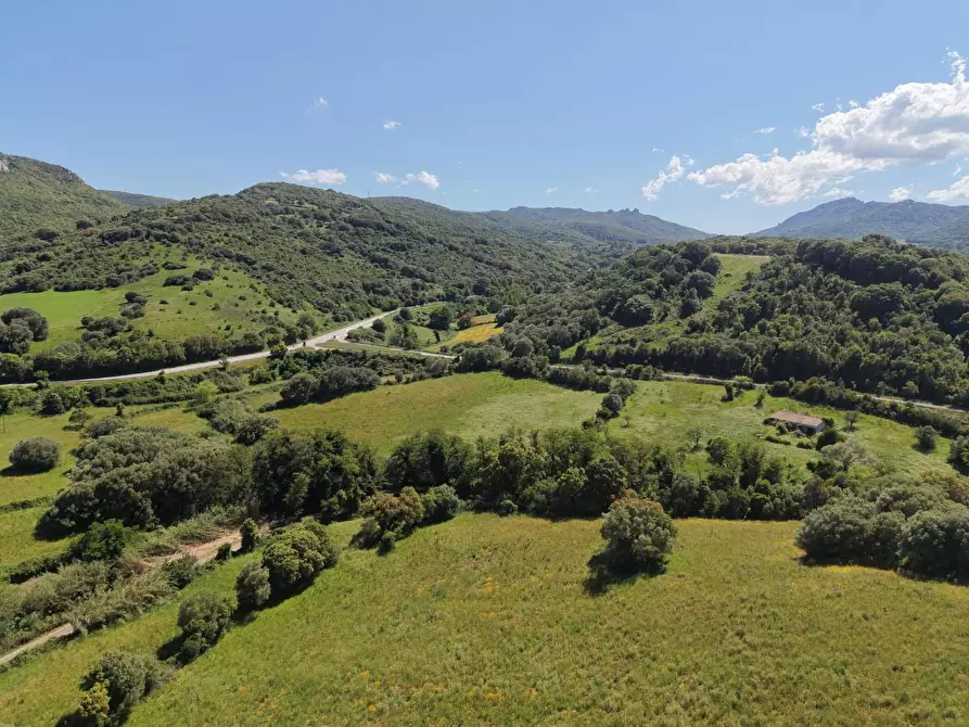 Immagine 6 di Casa colonica in vendita  a Luogosanto
