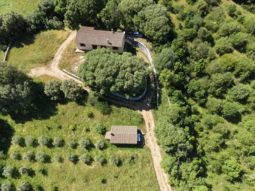 Immagine 1 di Casa colonica in vendita  a Luogosanto