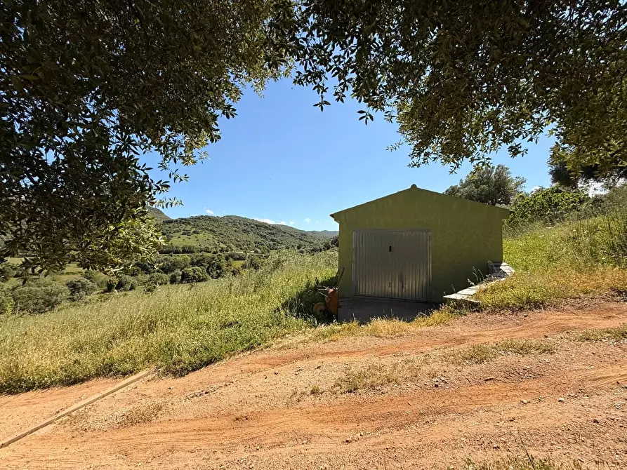 Immagine 12 di Casa colonica in vendita  a Luogosanto