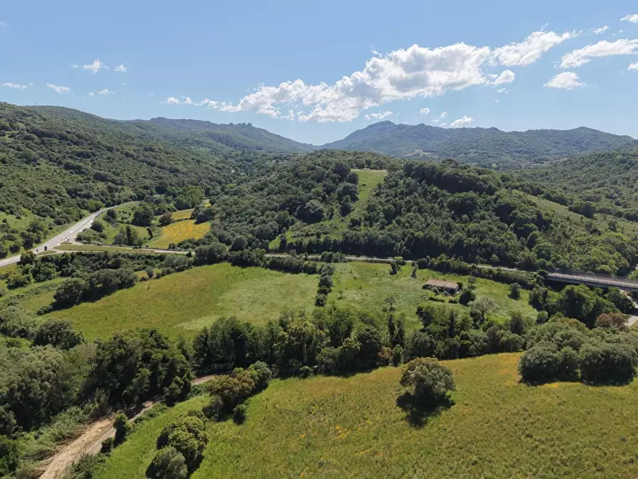 Immagine 8 di Casa colonica in vendita  a Luogosanto