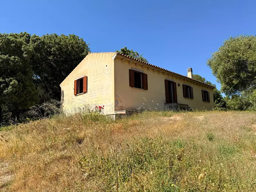 Immagine 18 di Casa colonica in vendita  a Luogosanto