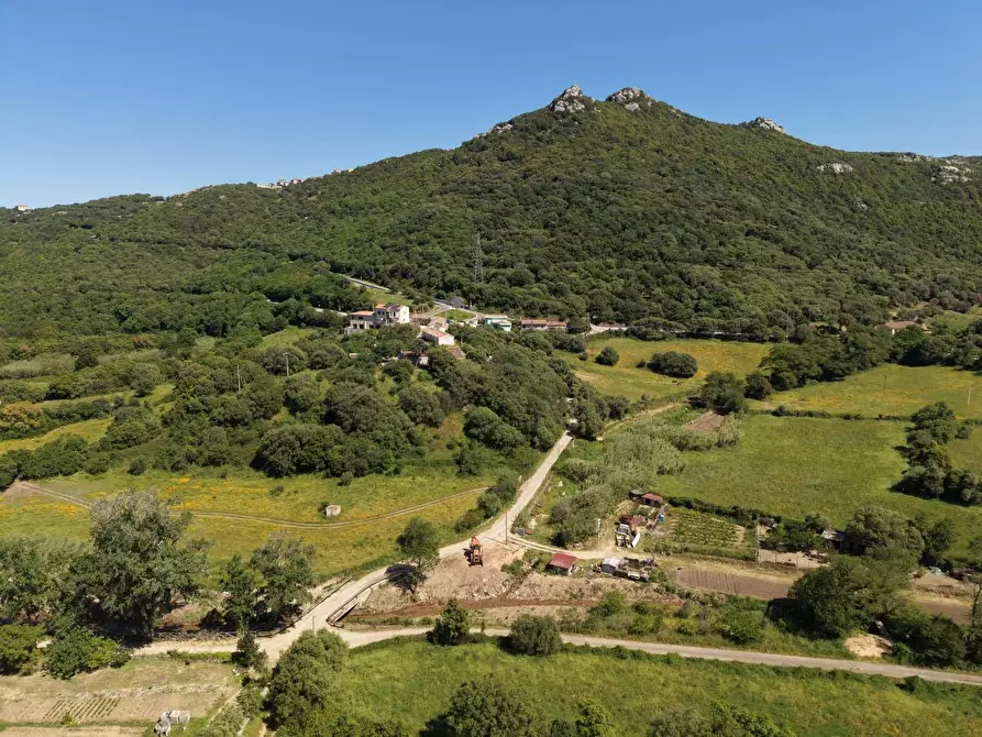 Immagine 7 di Casa colonica in vendita  a Luogosanto