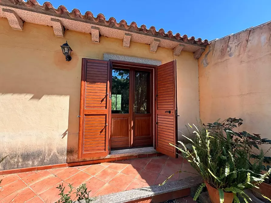 Immagine 19 di Casa colonica in vendita  a Luogosanto