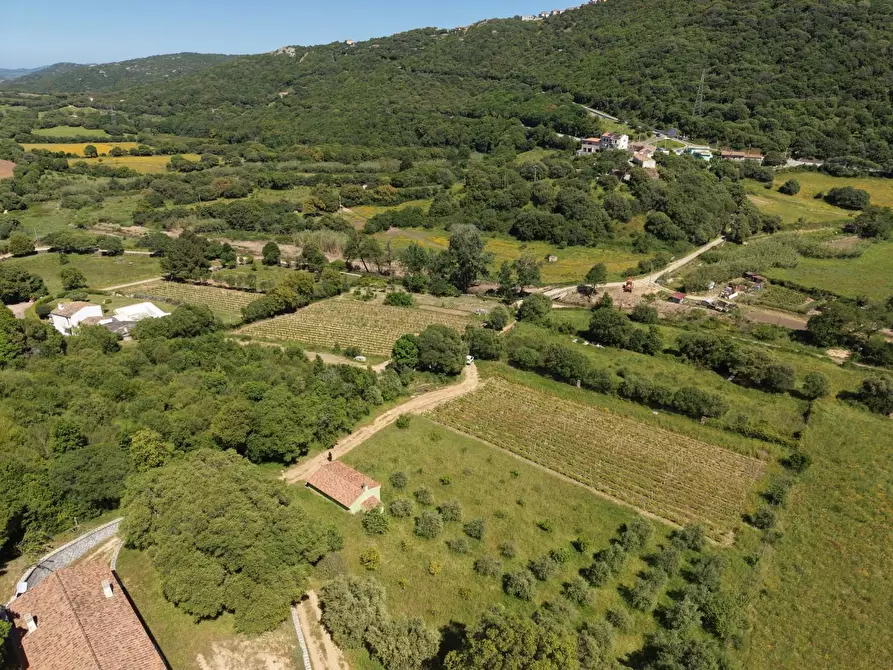 Immagine 4 di Casa colonica in vendita  a Luogosanto