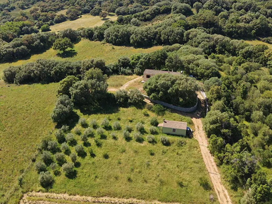 Immagine 2 di Casa colonica in vendita  a Luogosanto