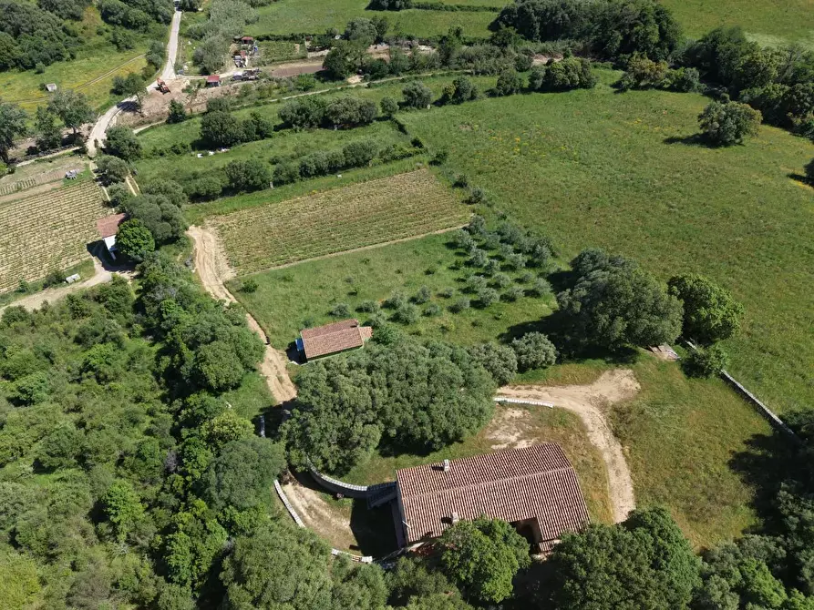 Immagine 10 di Casa colonica in vendita  a Luogosanto