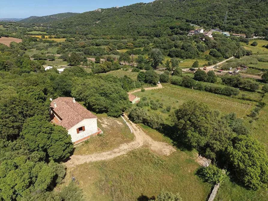 Immagine 3 di Casa colonica in vendita  a Luogosanto
