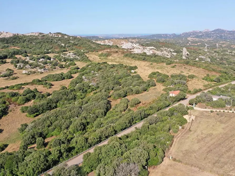 Immagine 10 di Terreno agricolo in vendita  a Luogosanto