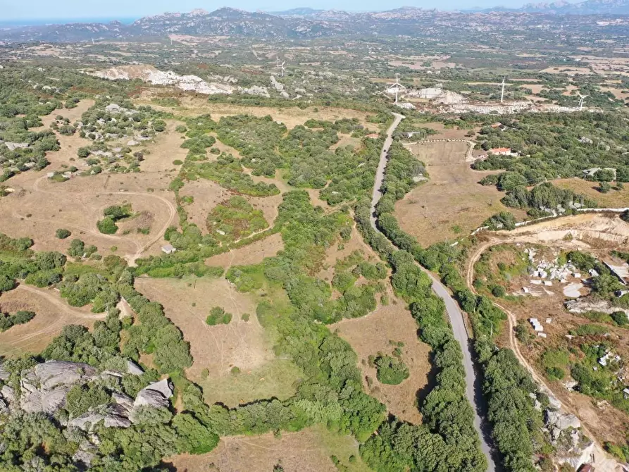 Immagine 7 di Terreno agricolo in vendita  a Luogosanto