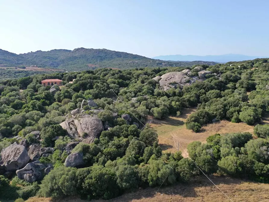Immagine 4 di Terreno agricolo in vendita  a Luogosanto
