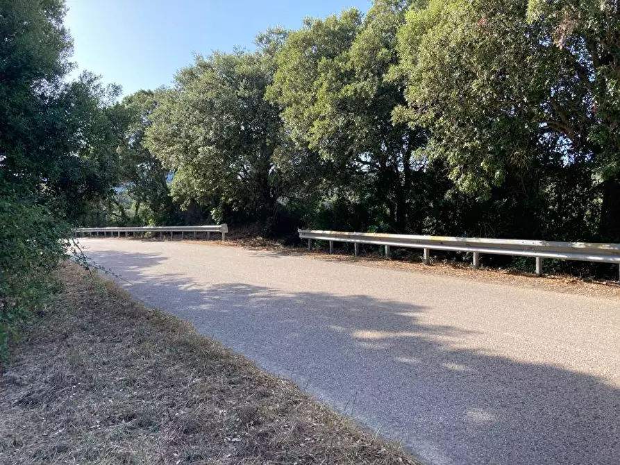 Immagine 8 di Terreno agricolo in vendita  a Luogosanto