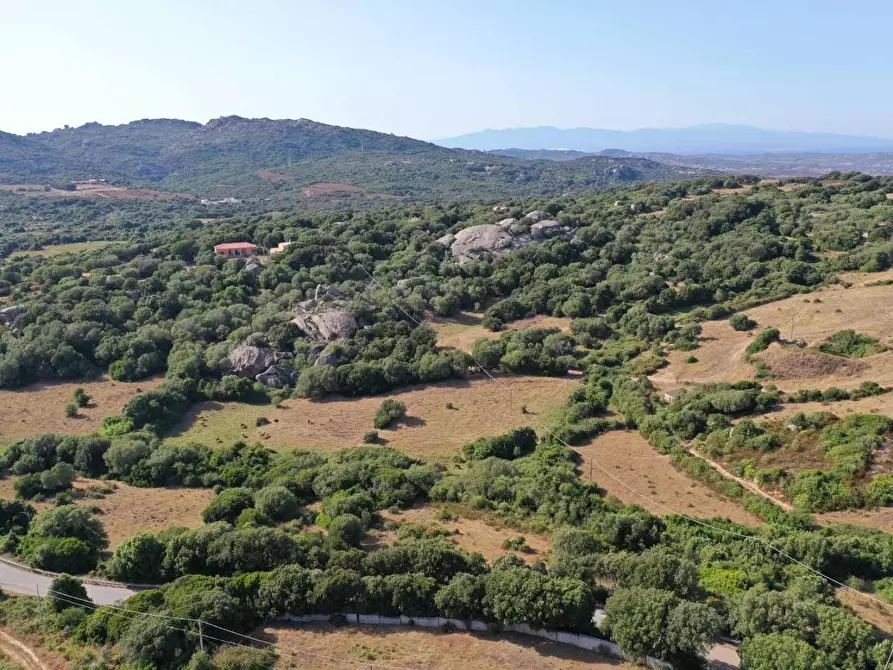 Immagine 3 di Terreno agricolo in vendita  a Luogosanto