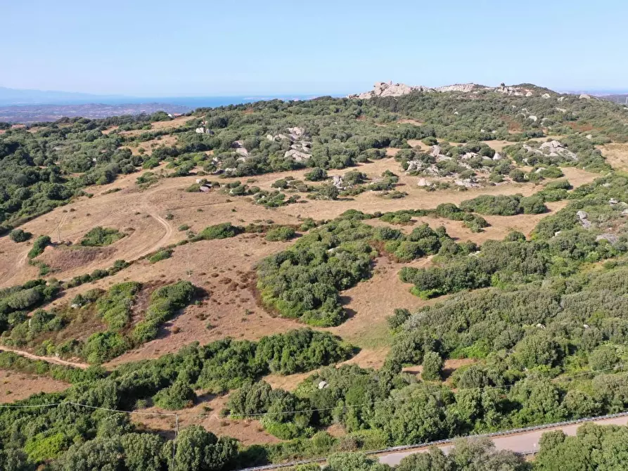 Immagine 1 di Terreno agricolo in vendita  a Luogosanto