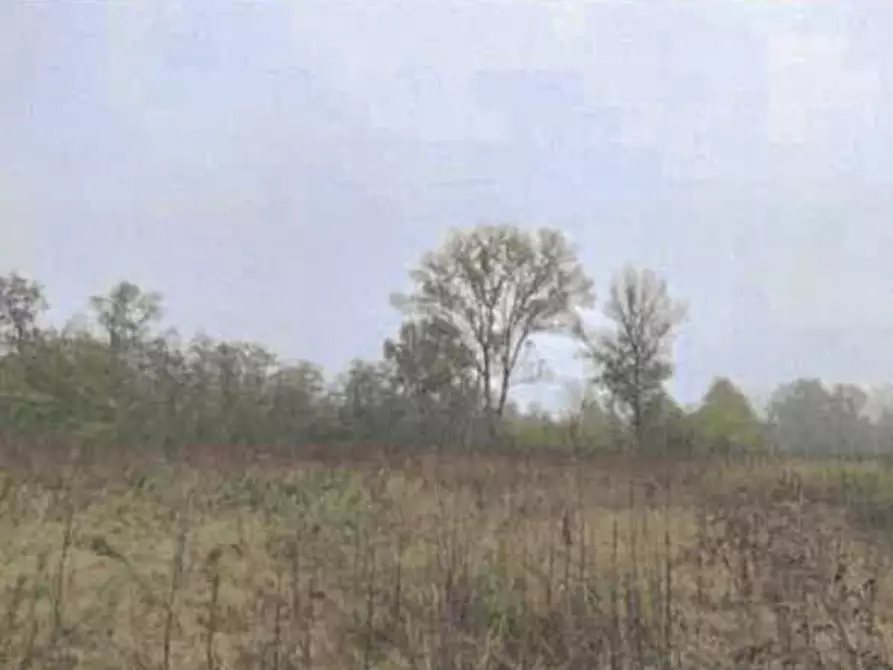 Immagine 6 di Casa indipendente in vendita  a Robecchetto Con Induno