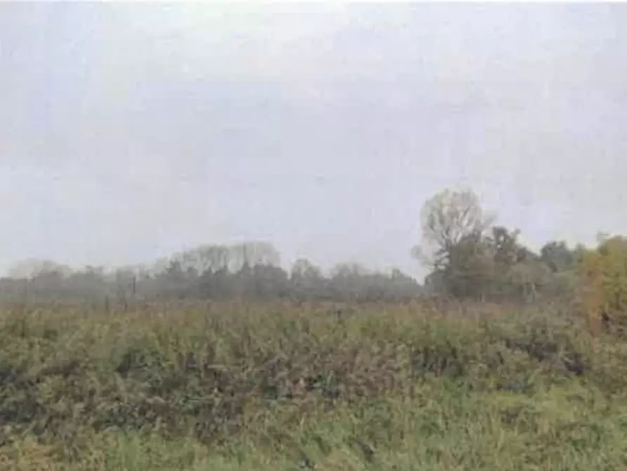 Immagine 7 di Casa indipendente in vendita  a Robecchetto Con Induno