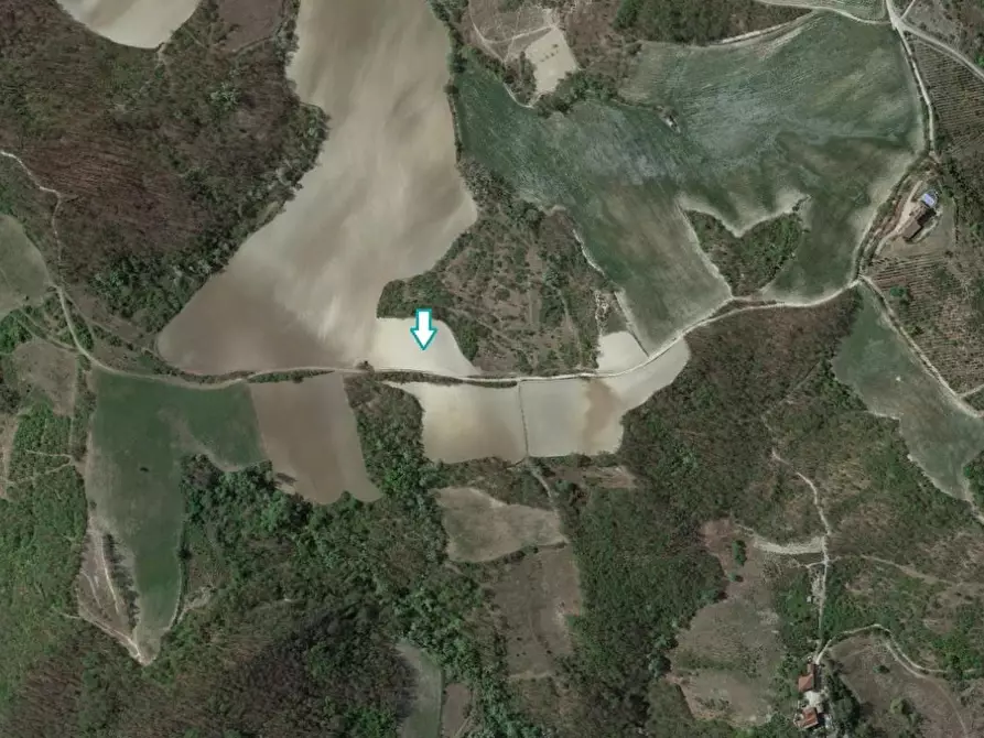 Immagine 1 di Terreno agricolo in vendita  a Montesegale
