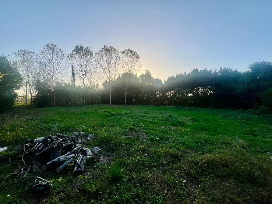 Immagine 6 di Rustico / casale in vendita  a San Giuliano Terme