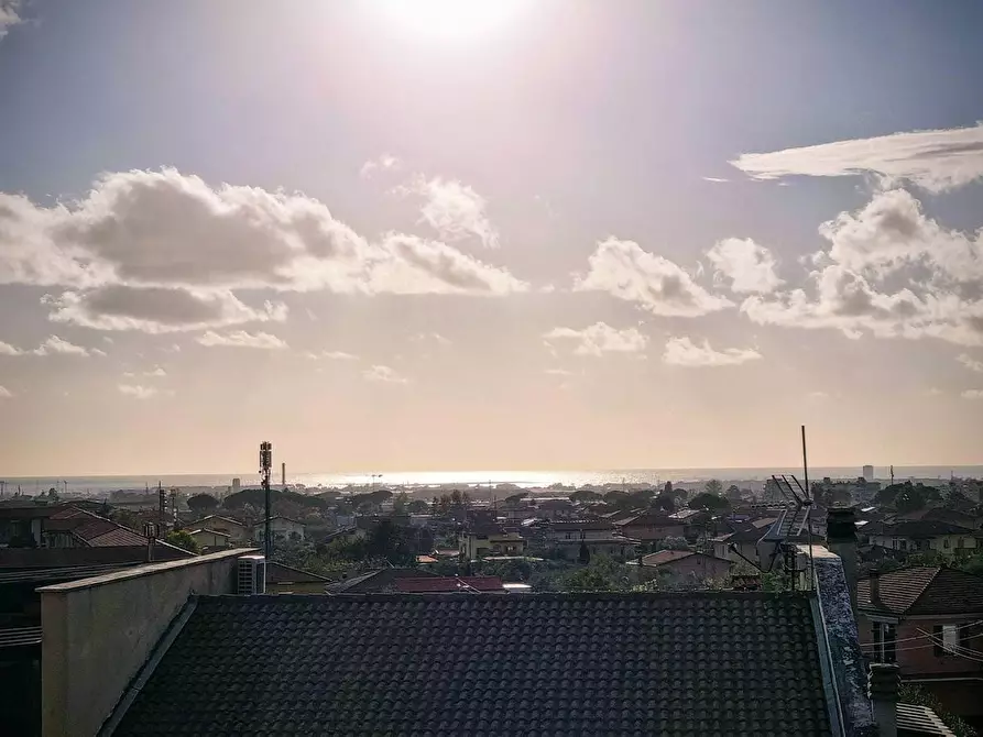 Immagine 7 di Appartamento in vendita  a Massa