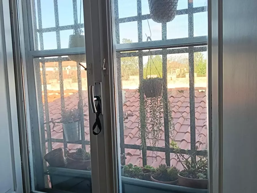 Immagine 14 di Appartamento in vendita  a Pisa