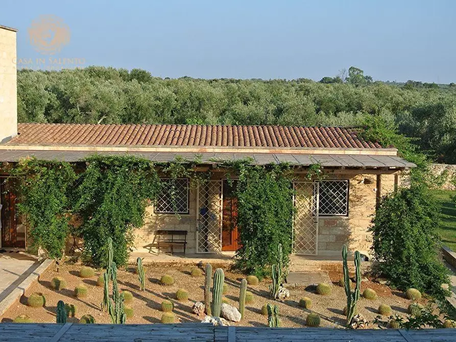 Immagine 42 di Villa in vendita  a Ruffano