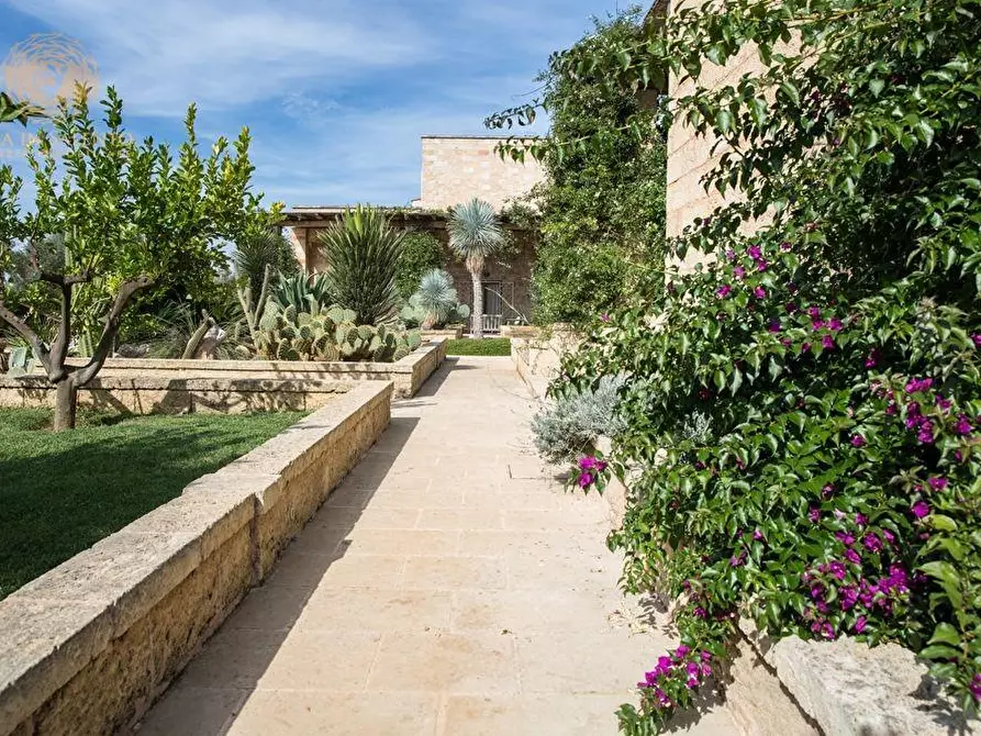 Immagine 9 di Villa in vendita  a Ruffano