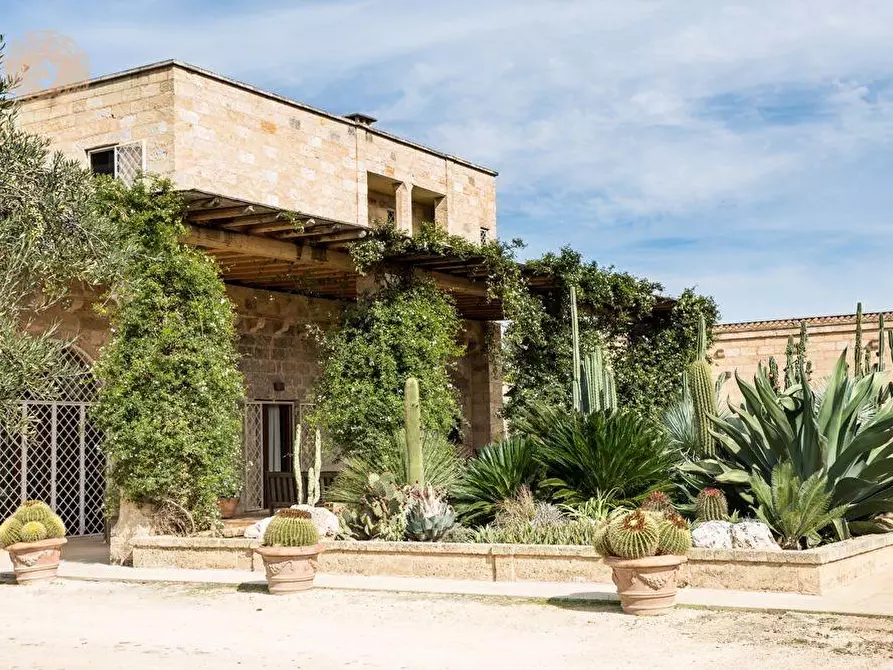 Immagine 4 di Villa in vendita  a Ruffano