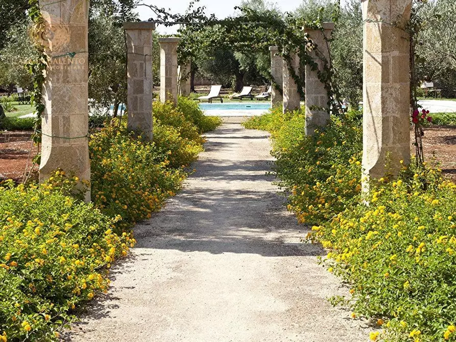 Immagine 49 di Villa in vendita  a Ruffano