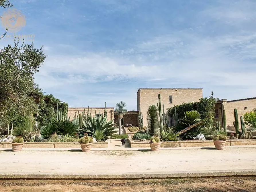 Immagine 6 di Villa in vendita  a Ruffano