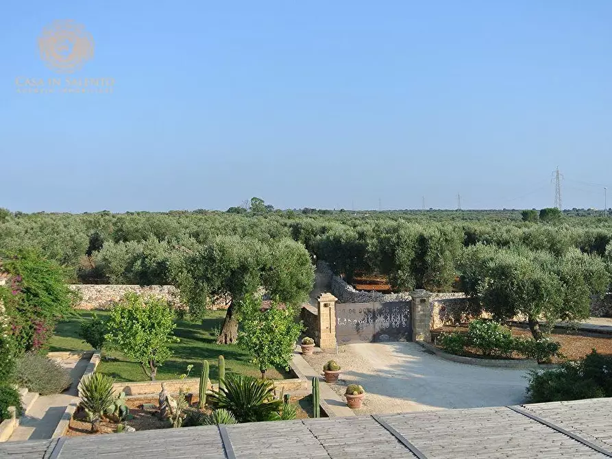 Immagine 41 di Villa in vendita  a Ruffano