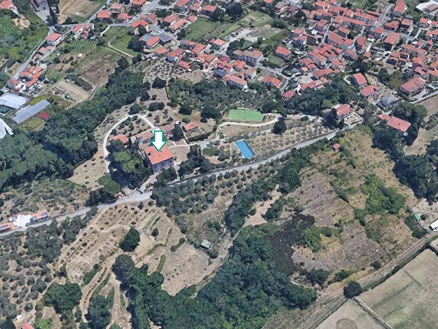 Immagine 2 di Villa in vendita  a Vecchiano