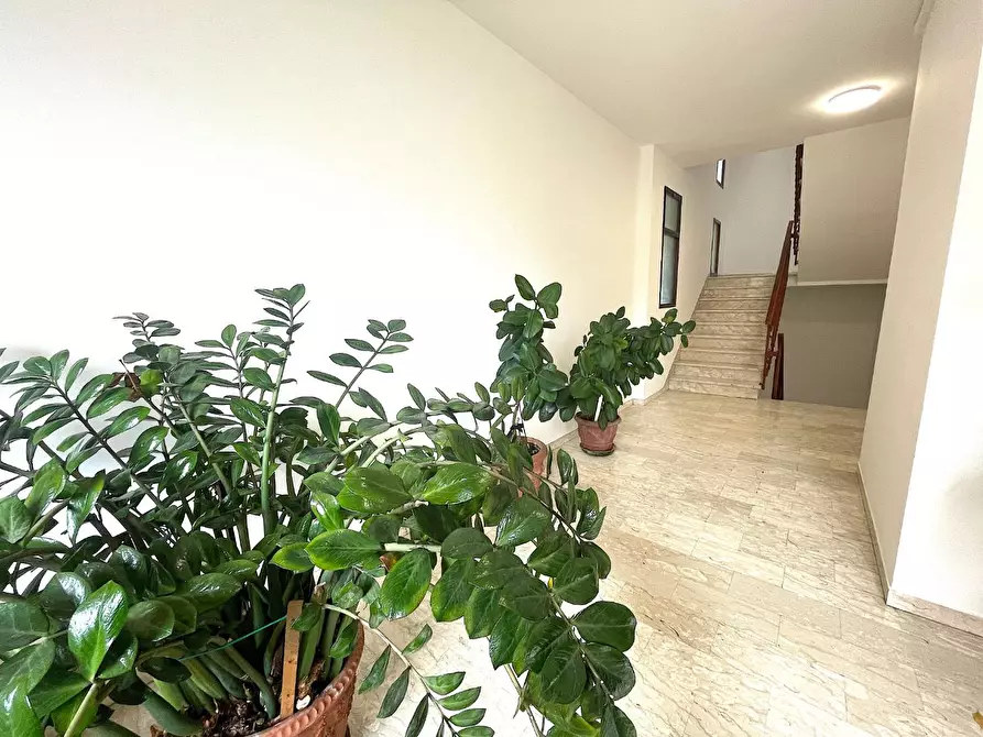 Immagine 36 di Appartamento in vendita  a Empoli