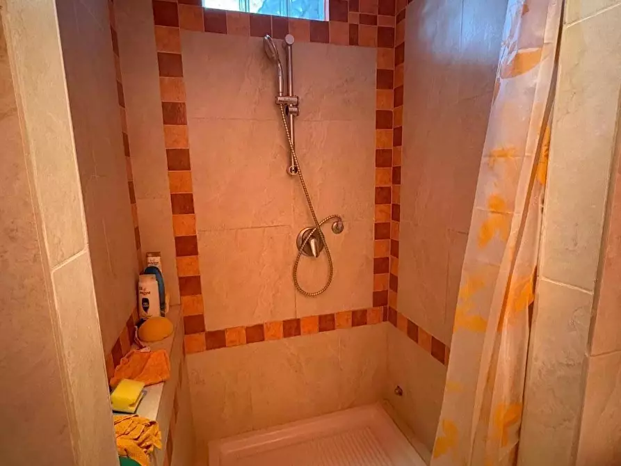 Immagine 17 di Loft/Open space in vendita  a Collesalvetti