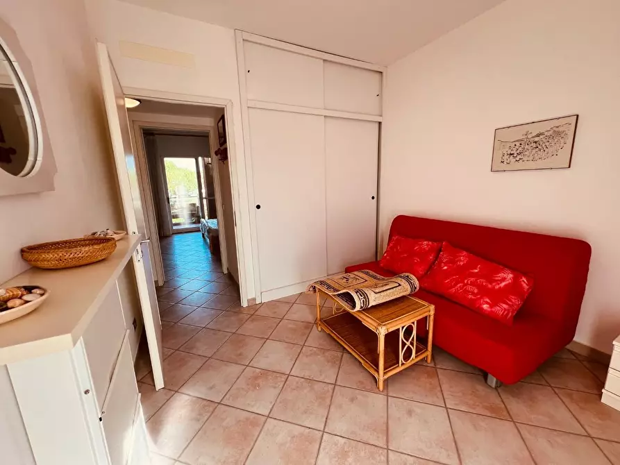 Immagine 18 di Appartamento in vendita  a Bibbona