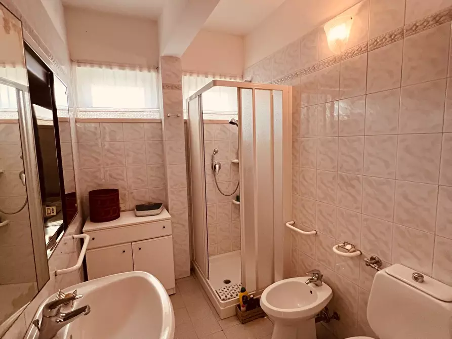 Immagine 15 di Appartamento in vendita  a Bibbona