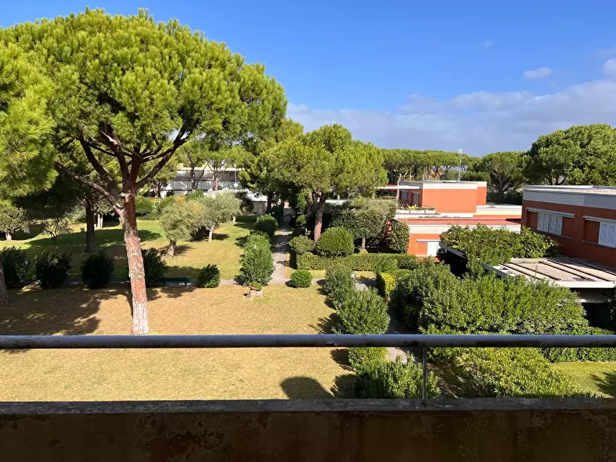 Immagine 11 di Appartamento in vendita  a Bibbona