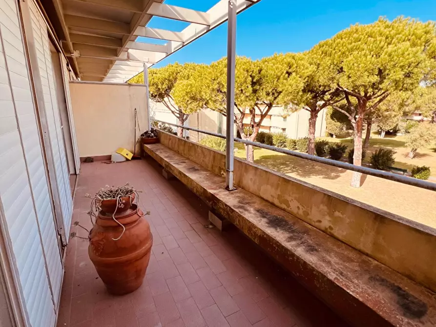 Immagine 5 di Appartamento in vendita  a Bibbona