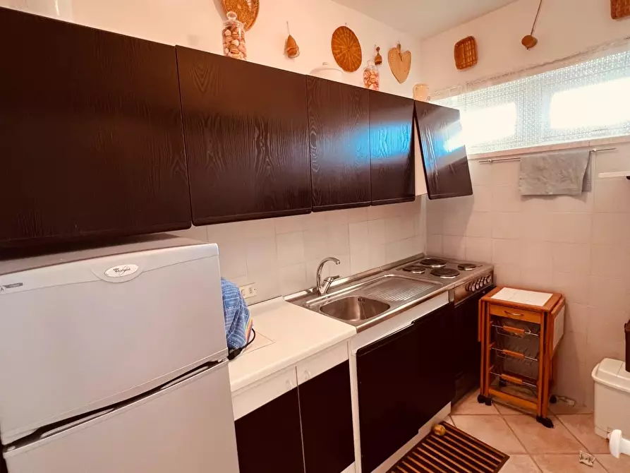 Immagine 13 di Appartamento in vendita  a Bibbona